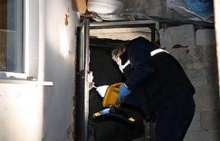 Karaman’da, hırsızlar girdikleri ağıldan 4 kuzuyu...