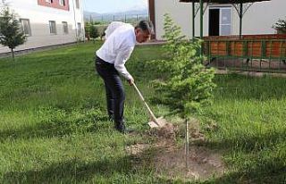 Karantina yurduna fidanlar dikildi