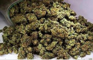 Kargo ile uyuşturucu ticaretine suçüstü