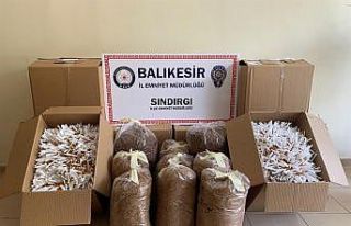 Kargoyla gönderilen 55 kilo tütün ele geçirildi