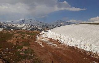 Karlar eridi, iki aileye aylar sonra ulaşıldı