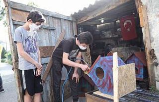 Kartal’da genç stajyer sokak kedilerine ev tasarlıyor