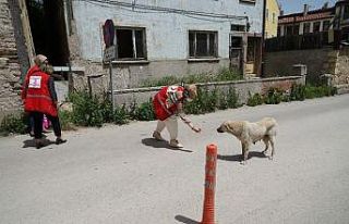 Kastamonu’da Türk Kızılayı kadın gönüllüleri...