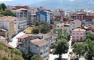 Kavak üretim gücüyle ulusal ekonomiye katkısını...