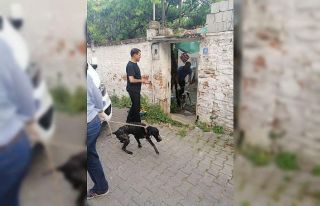 Kaymakam Şahin’den jet talimat