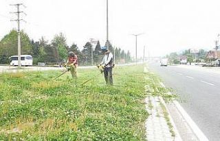 Kaynaşlı Belediyesi D-100’de refüjlerin bakımı...