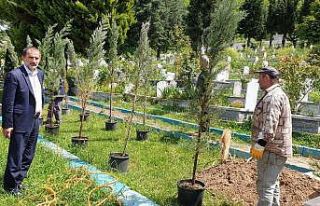 Kaynaşlı’da mezarlıkta düzenleme yapılıyor