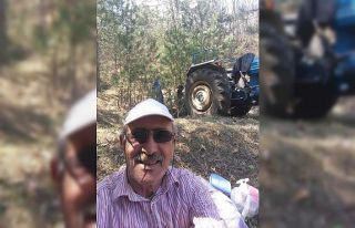 Kestiği tomruğun altında kalarak hayatını kaybetti