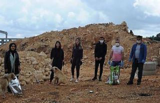 Kısıtlama nedeniyle aç kalan köpekleri elleriyle...