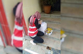 Kızılay yardımlarını sürdürüyor