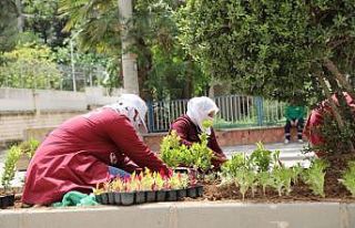 Kızıltepe’de refüjler çiçek açtı