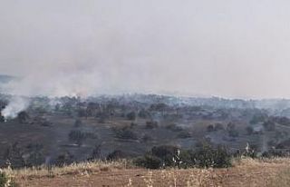 KKTC’de üç farklı bölgede yangın devam ediyor