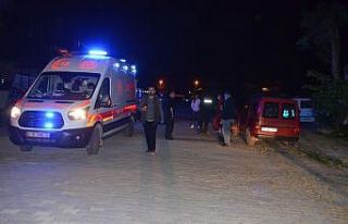 Köpeklerin saldırısından kaçtı, kaza yaptı:...
