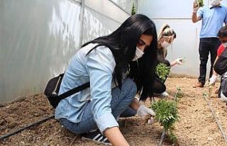 Korona nedeniyle öğrenciler olmayınca, öğretmenler...