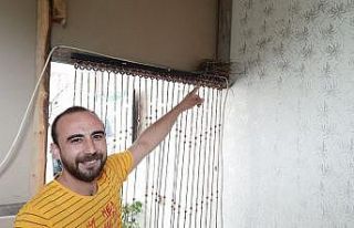 Korona tedbirinde kapatılan berber dükkanına kuşlar...