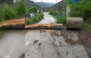 Korona virüs dolayısıyla köyün girişlerini ağaç...