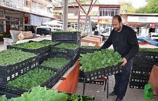 Korona virüs fide satışlarını da düşürdü