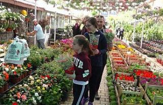 Korona virüs nedeniyle bu yıl annelere saksı çiçekleri...