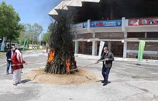 Koronavirüs, bin 400 yıllık ateşin yanmasına...
