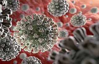 Koronavirüs hakkında çıkan haber sayısı 20 milyona...