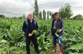 Korona’ya inat Salihli çiftçisi üretiyor