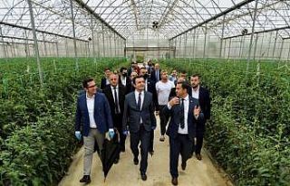 Kosova Başbakanı Kurti’den Türk belediyesine...