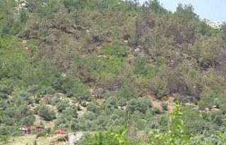 Kozan’da 1 hektar ormanlık alan yandı