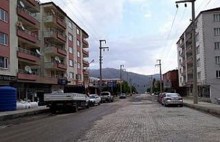 Kulp kısıtlamaya uydu, cadde ve sokaklar boş kaldı