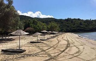 Kuşadası Dilek Yarımadası Milli Parkı 1 Haziran’da...