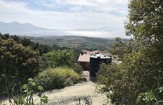 Kuşadası’nda ormanlık alandaki kaçak hobi bahçeleri...