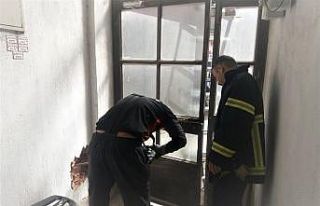 Kütahya’da iki bina arasına sıkışan yavru köpek...