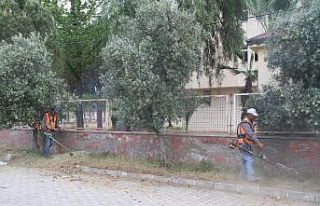 Kuyucak yaza hazırlanıyor