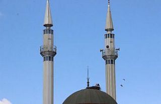 Leylekler caminin kubbesine yuva yaptı