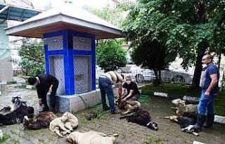 Mahalle halkı “Korona virüs bitsin” diye 11...