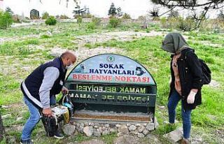 Mamak’ta sokak hayvanları için beslenme noktaları