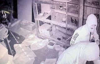 Manisa’da güvercin hırsızları kameraya yakalandı