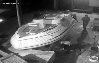 Marmaris’te pitbull dehşeti