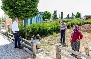 Meram hobi bahçelerinde ekim zamanı