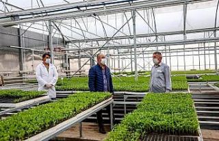 Meram Sebze Fidesi Üretim Tesisinde fide satışları...