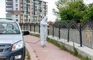 Meram’da haşereyle mücadele başladı