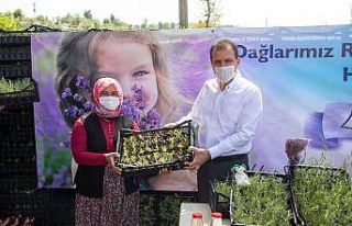 Mersin, lavanta üretiminin merkezi olacak