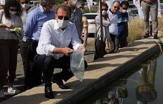 Mersin, sivrisinekleri "lepistes balıklarıyla"...
