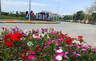 Mersin, yaz çiçekleriyle renklendi