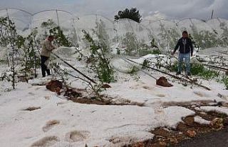 Mersin’de 1 saat yağan dolu tarlalara zarar verdi