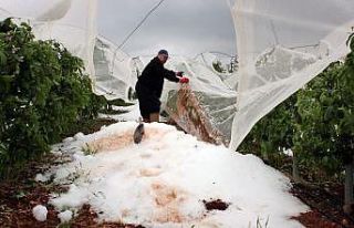 Mersin’de dolu afetinin bilançosu ağır