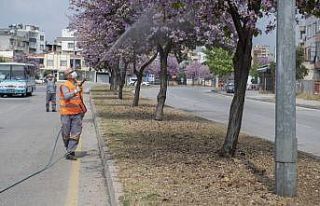 Mersin’de haşere ile mücadele çalışmaları...