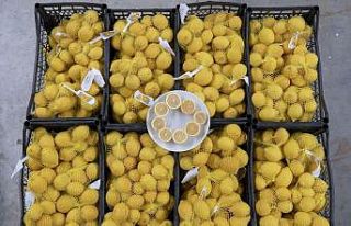 Mersin’in limonları bu kez başkent için yola...
