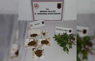 Meyve kasalarına kenevir eken şüpheli yakalandı