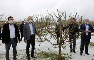 MHP’li Şimşek: "Doludan zarar gören üreticilere...