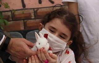 Minik Cemre Cumhurbaşkanından istediği tavşanına...